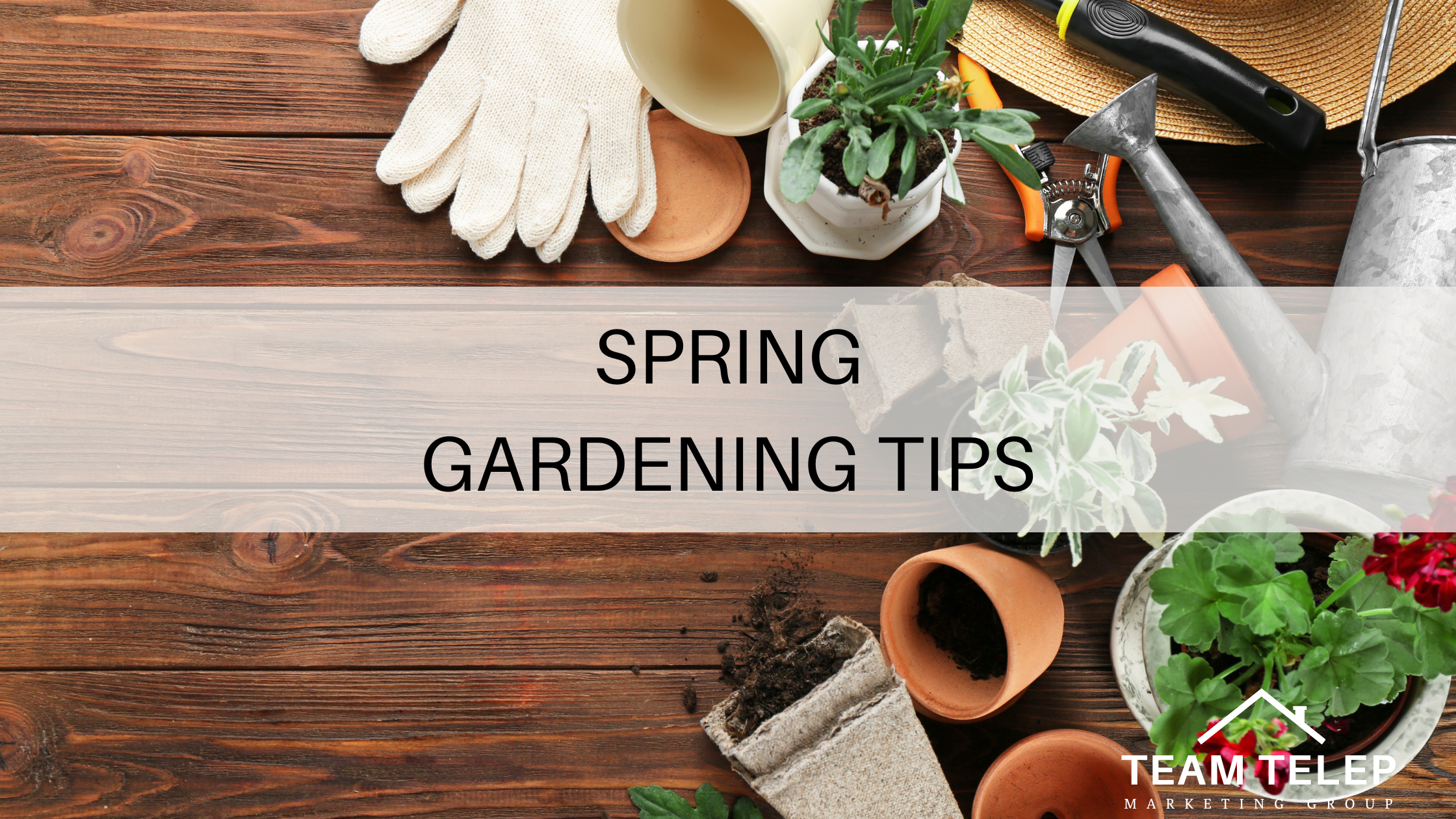 Spring Gardening Tips